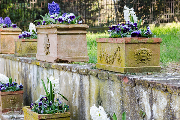 flower pots with colorful flowers in a garden setting featuring purple and white blooms and decorative stone planters 3 garden design ideas